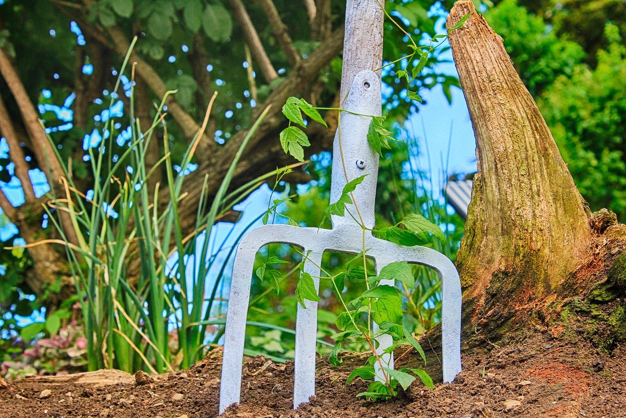 outils de jardinage